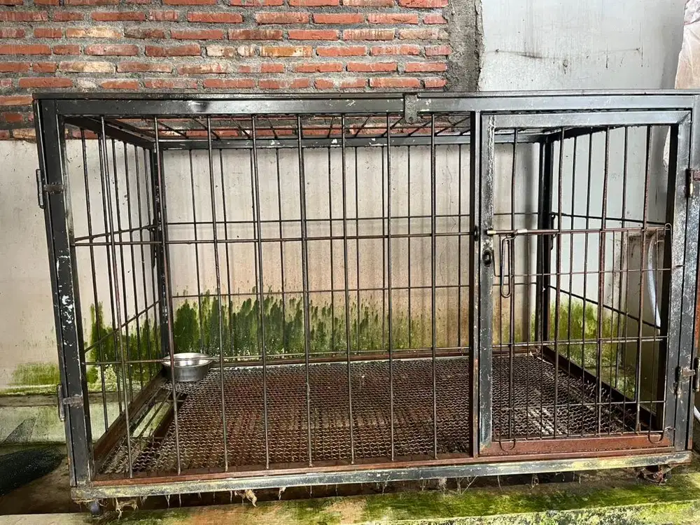 kandang anjing dan kucing