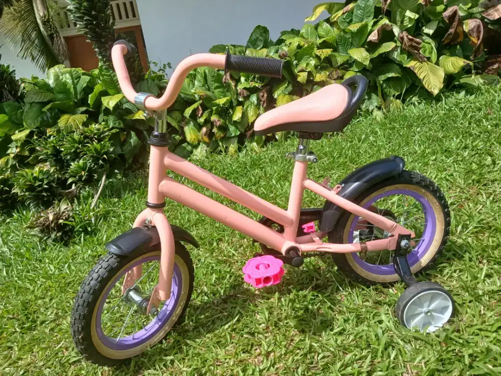 Sepeda Anak Fingard/AZCO Pink Rem Pedal 12 Inci