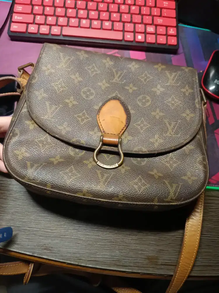 Tas lv(louis vultion)