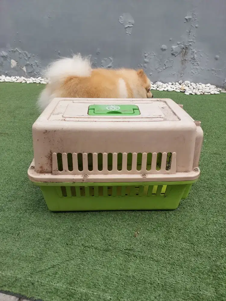 Pet Cargo Octagon standar kennel box airline / pesawat approved