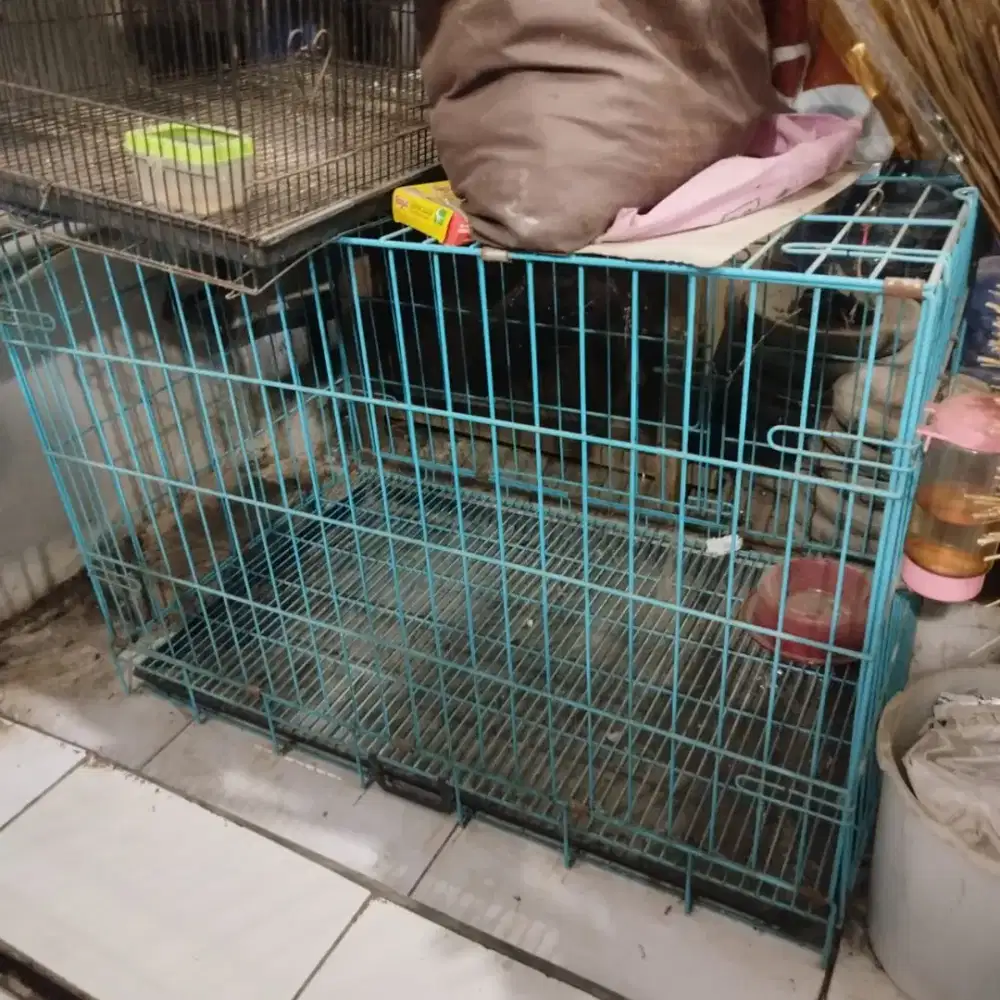 Kandang kucing anjing octagon 04