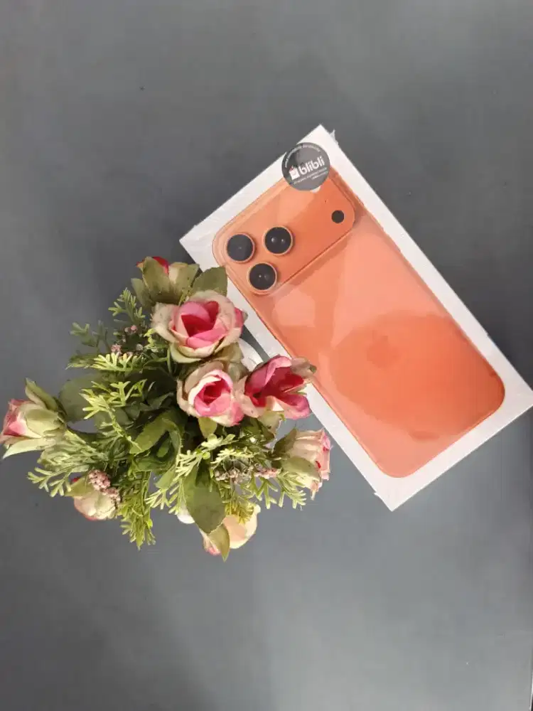 iPhone 17 Pro Max 256GB