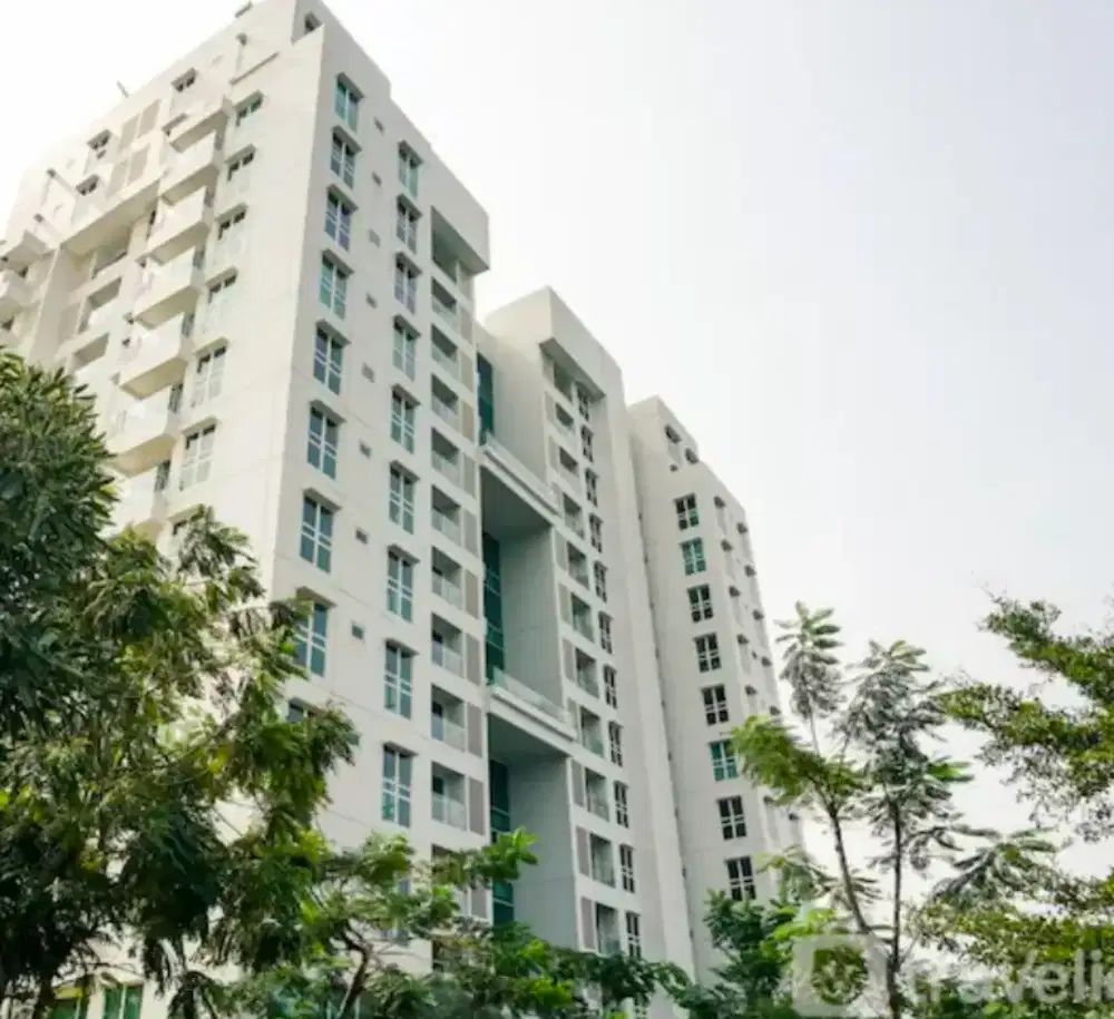 Lowongan Pekerjaan Admin & Translator :