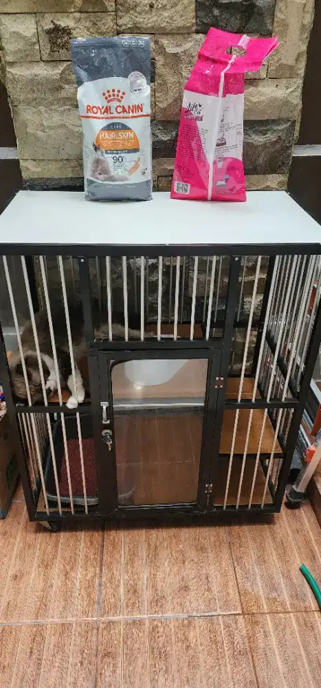 Kandang Kucing Bekas