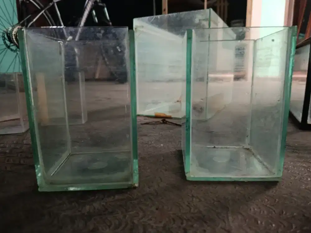 Akuarium soliter cupang