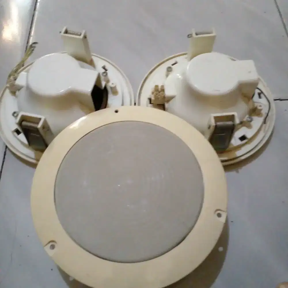Celling speakers