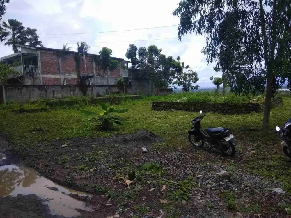 Tanah bangun jiwo Bantul