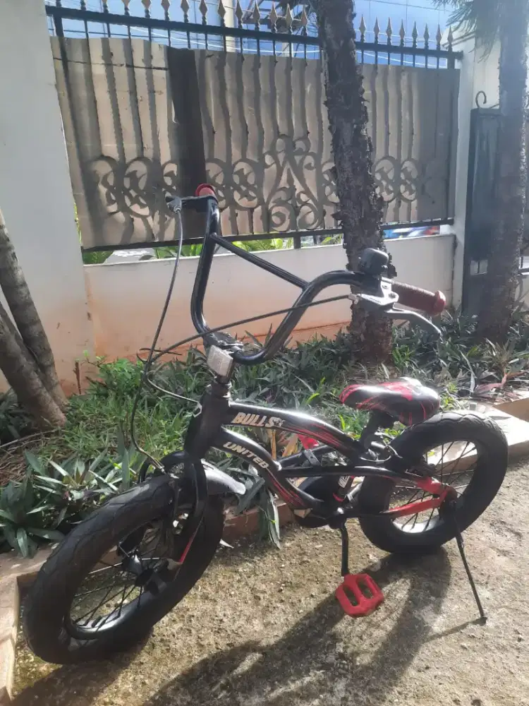 Sepeda united bulls 16