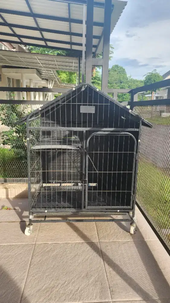 Kandang Kucing Tingkat