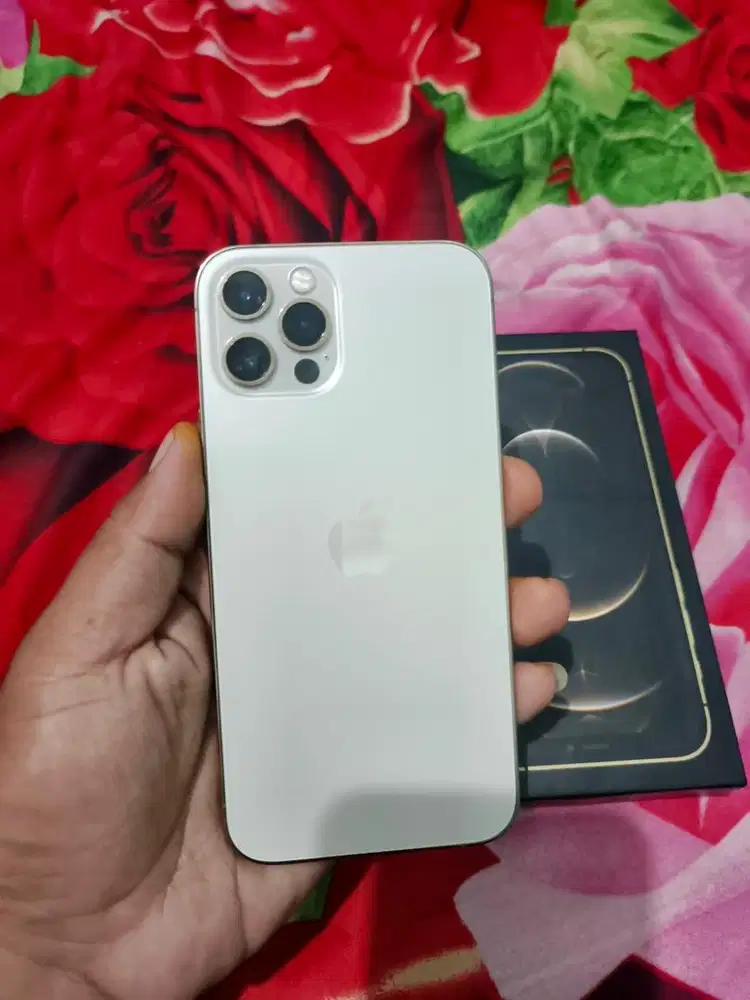 Iphone 12 Pro Dual SIM beacukai