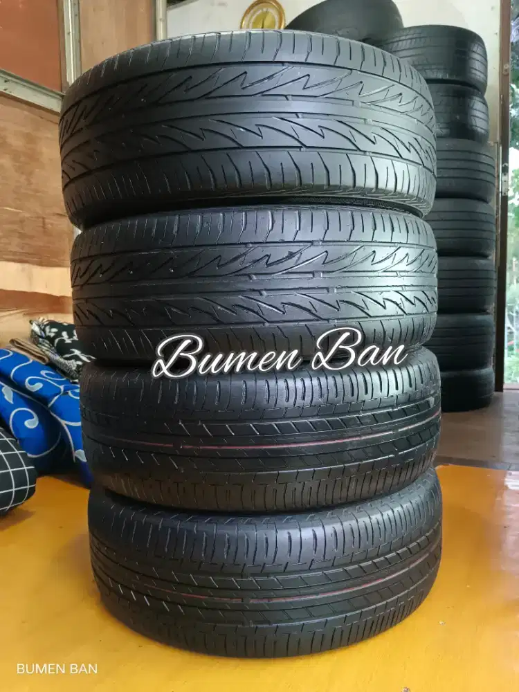 Ban 195 55 R16 Bridgestone Ecopia / Techno Sports