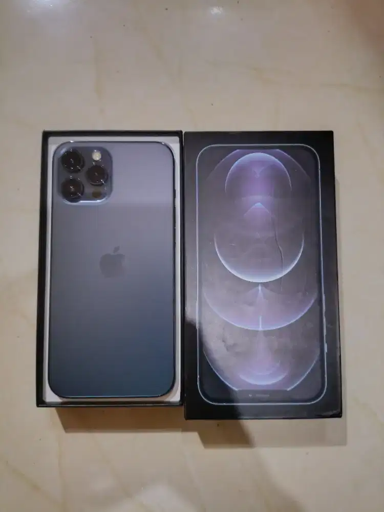 12 promax 256gb ex inter