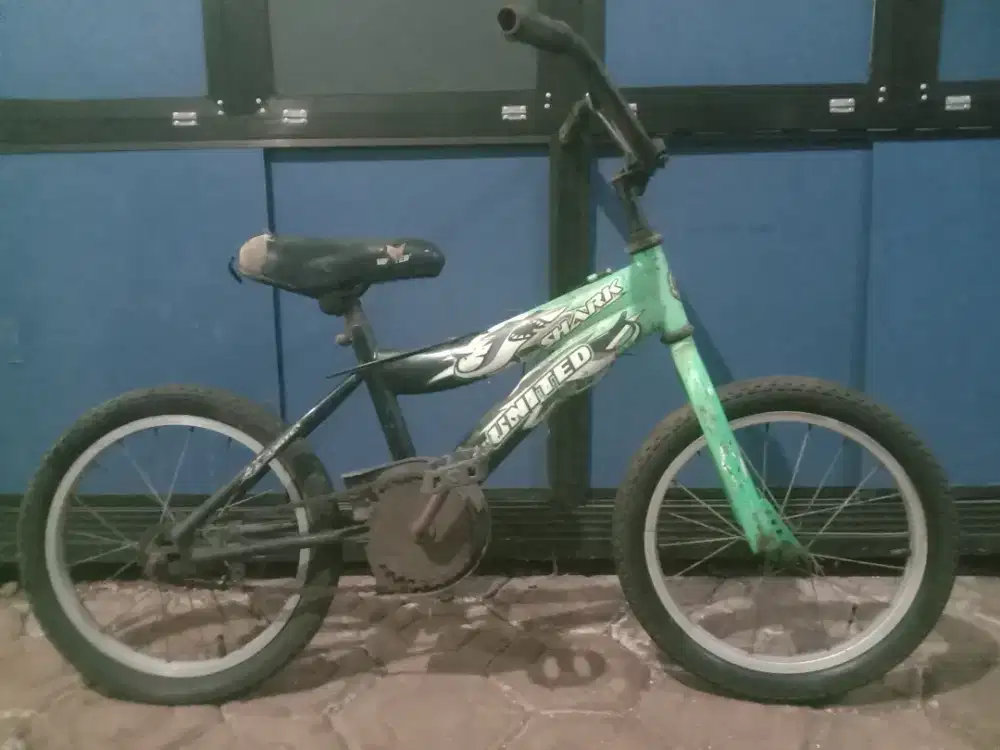 Sepeda BMX untuk Anak