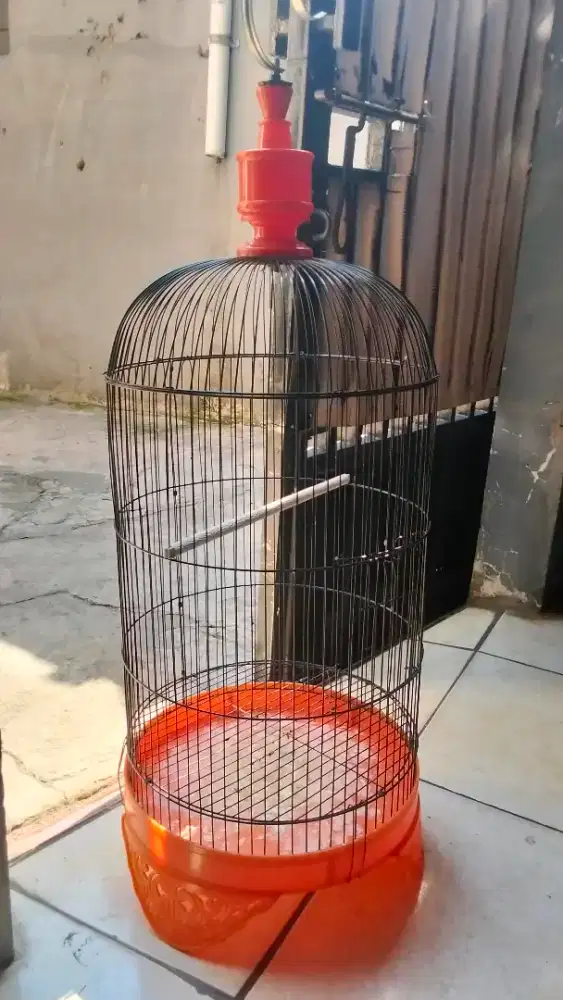 Jual kandang burung