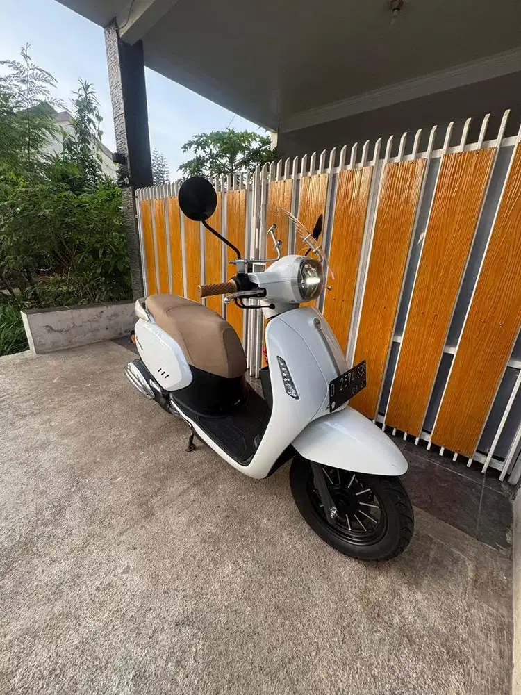 Benelli Panarea 2022