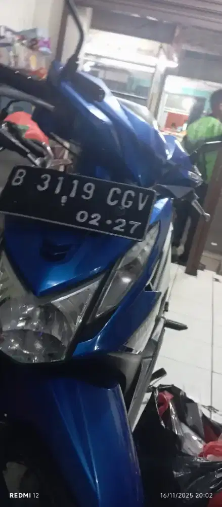 Beat ori pajek hidup