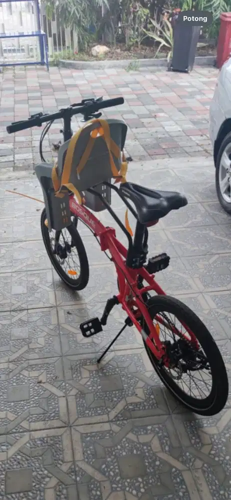 Sepeda Ecosmo BOSQUE series