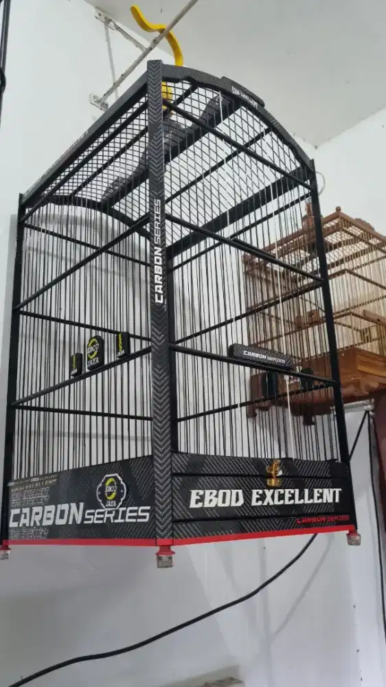 Sangkar EBOD CARBON series no 2