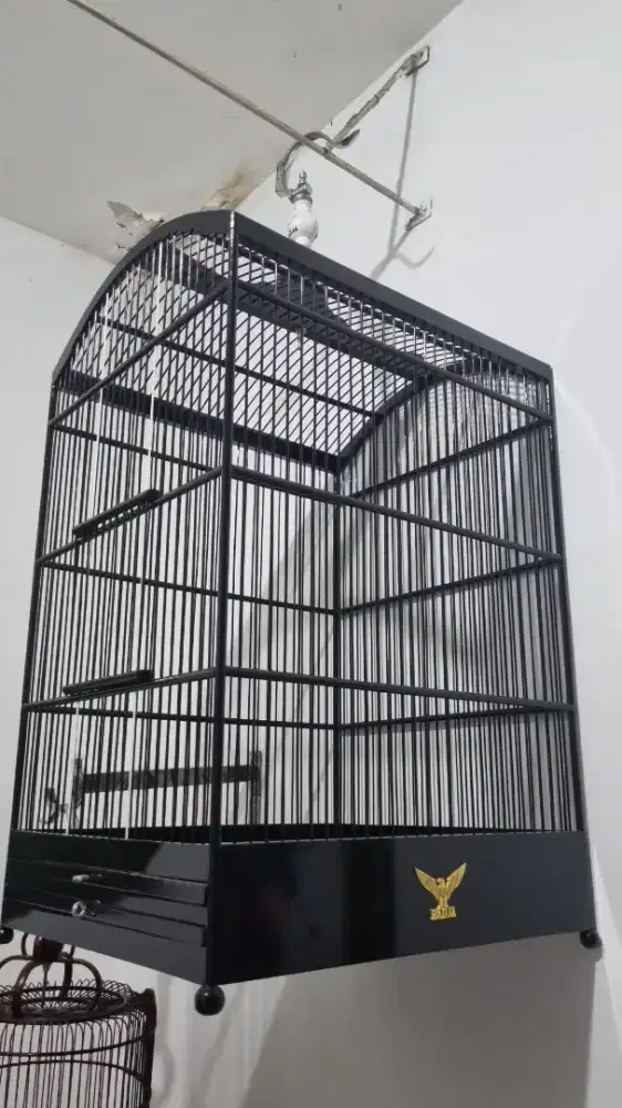 Sangkar radja company kacer , jalak suren , dll