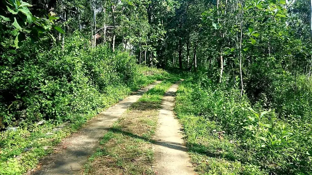 Dijual Tanah Murah di Sentolo, Kulon Progo, Yogyakarta