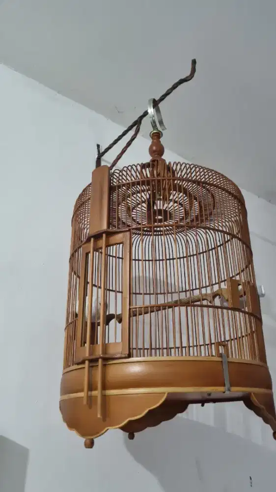 Sangkar anis alusss pisaan