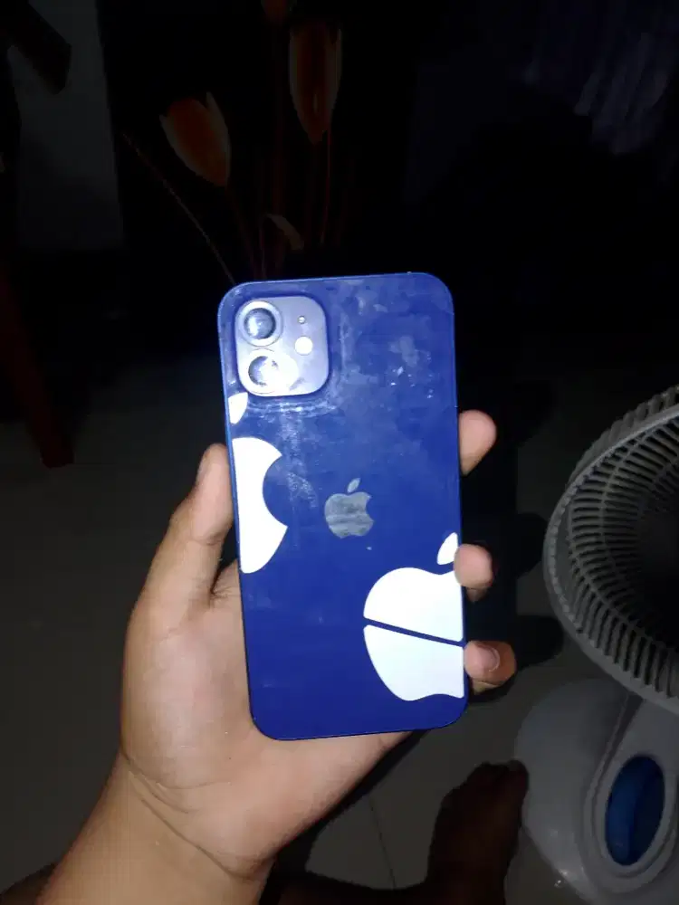 iPhone 12 biasa