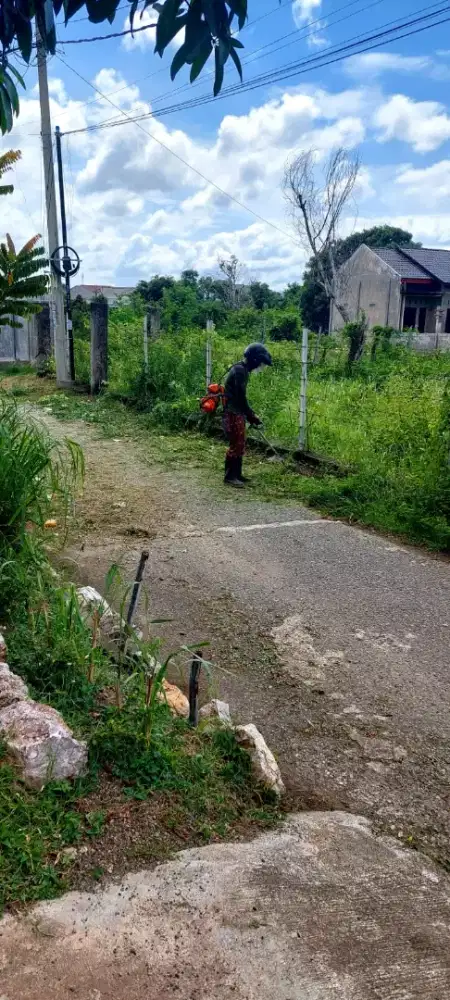 jasa potong rumput
