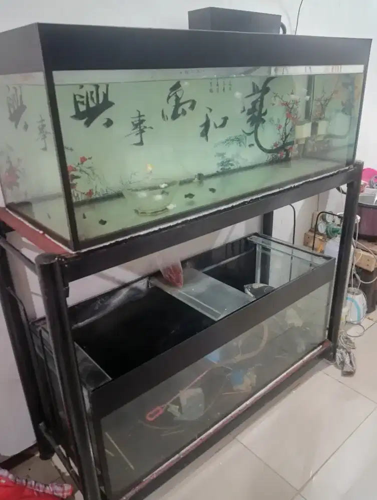 Aquarium hias bekas arwana