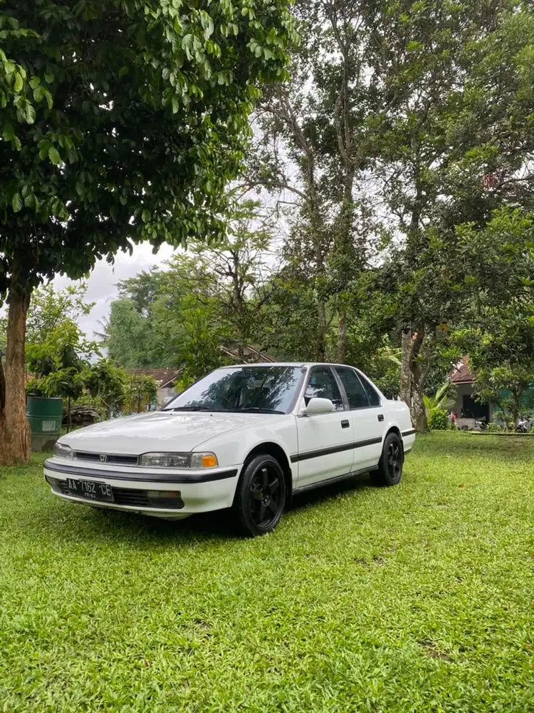 Honda acord maestro