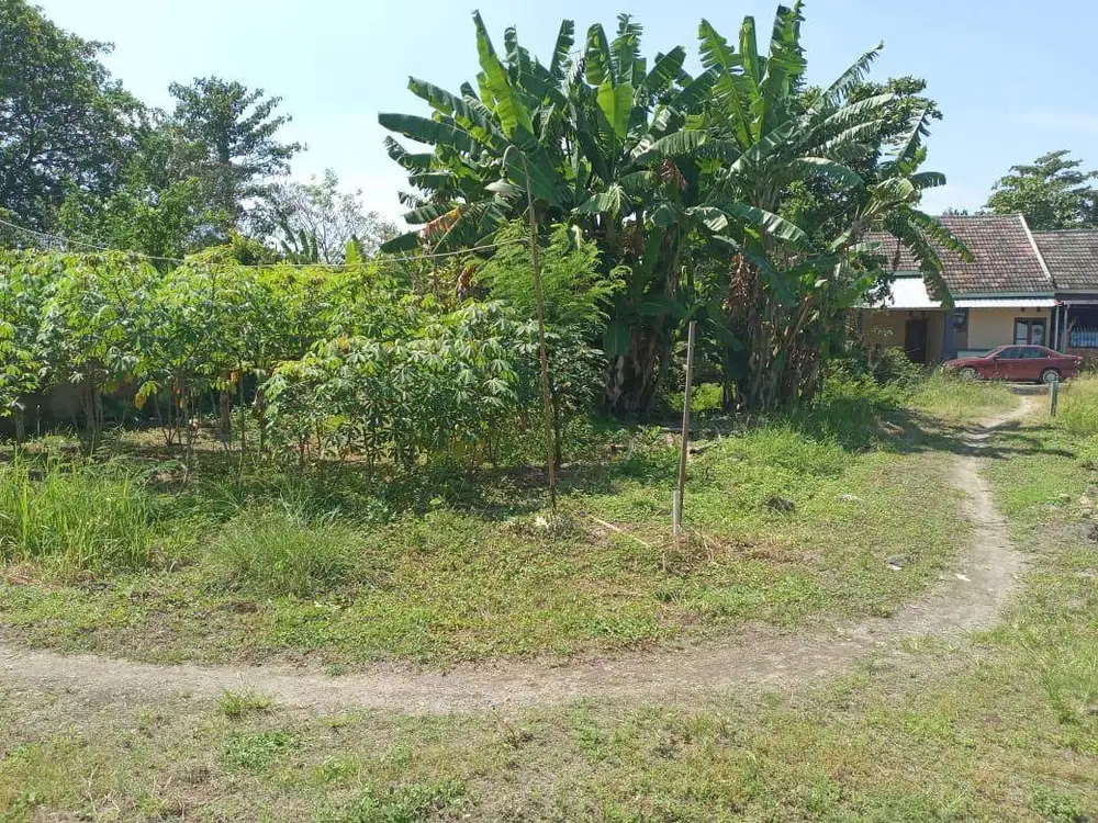 Jual Cepat tanah di Penggaron Kidul