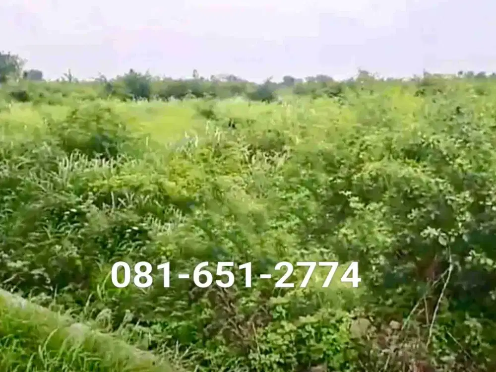 Tanah di Bypass Nganjuk.