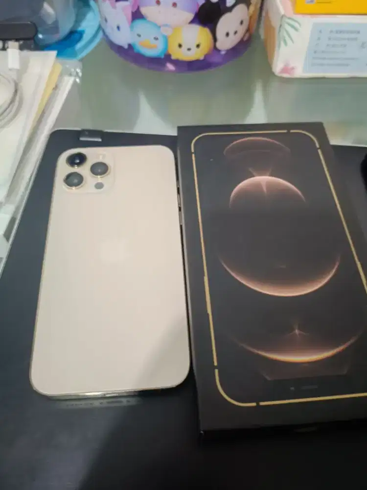 iPhone 12 Pro Max Dual SIM