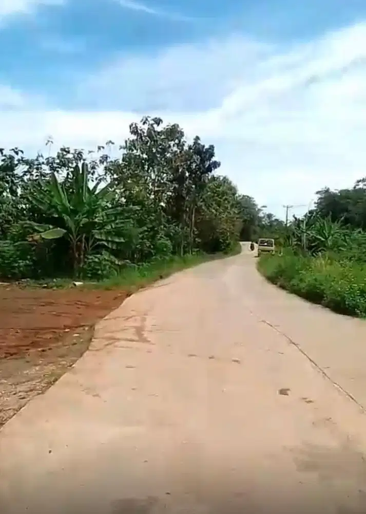 kebun buah siap panen Buat Argo wisata D Lebak banten sajira SHM