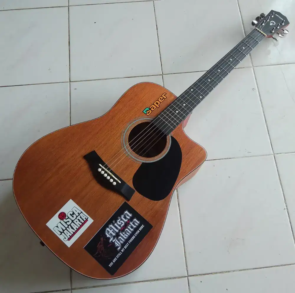 Gitar aristan lokal