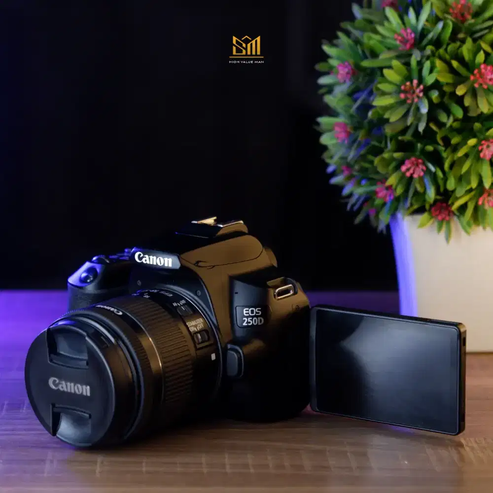 Lulus QC Canon 250D Kit STM Sehat Terawat