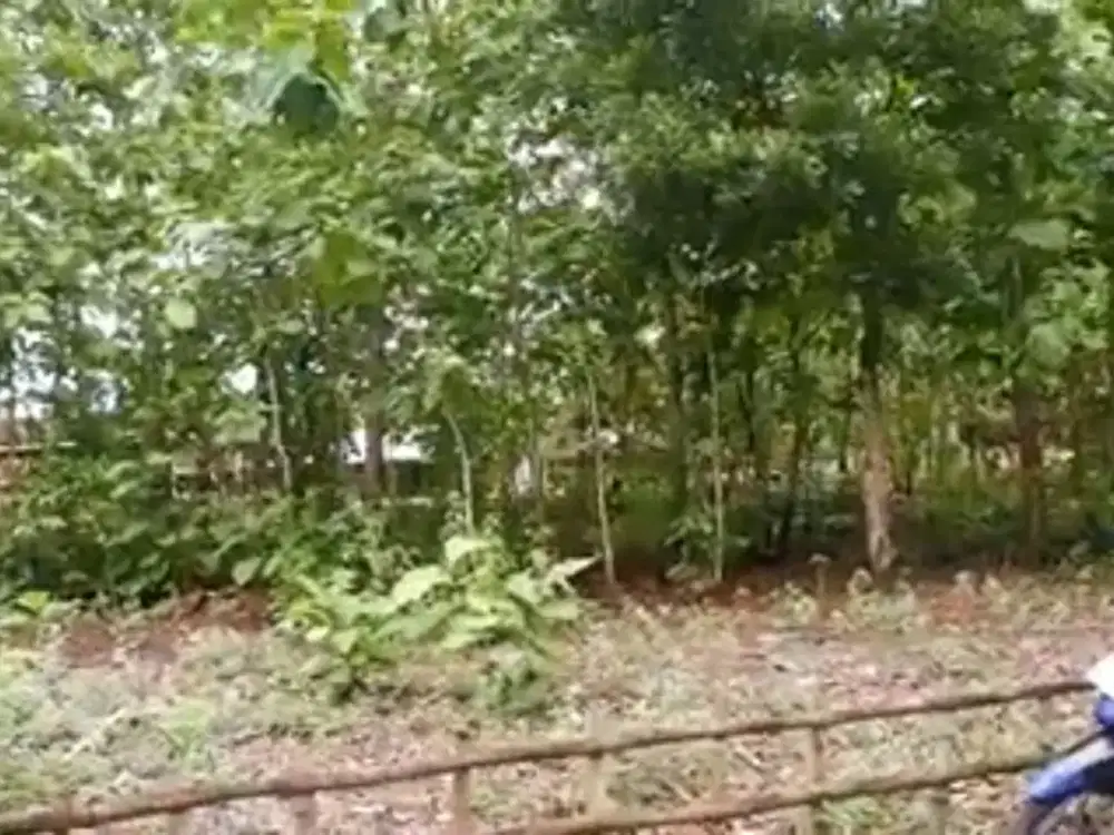 Murah, Tanah Pekarangan