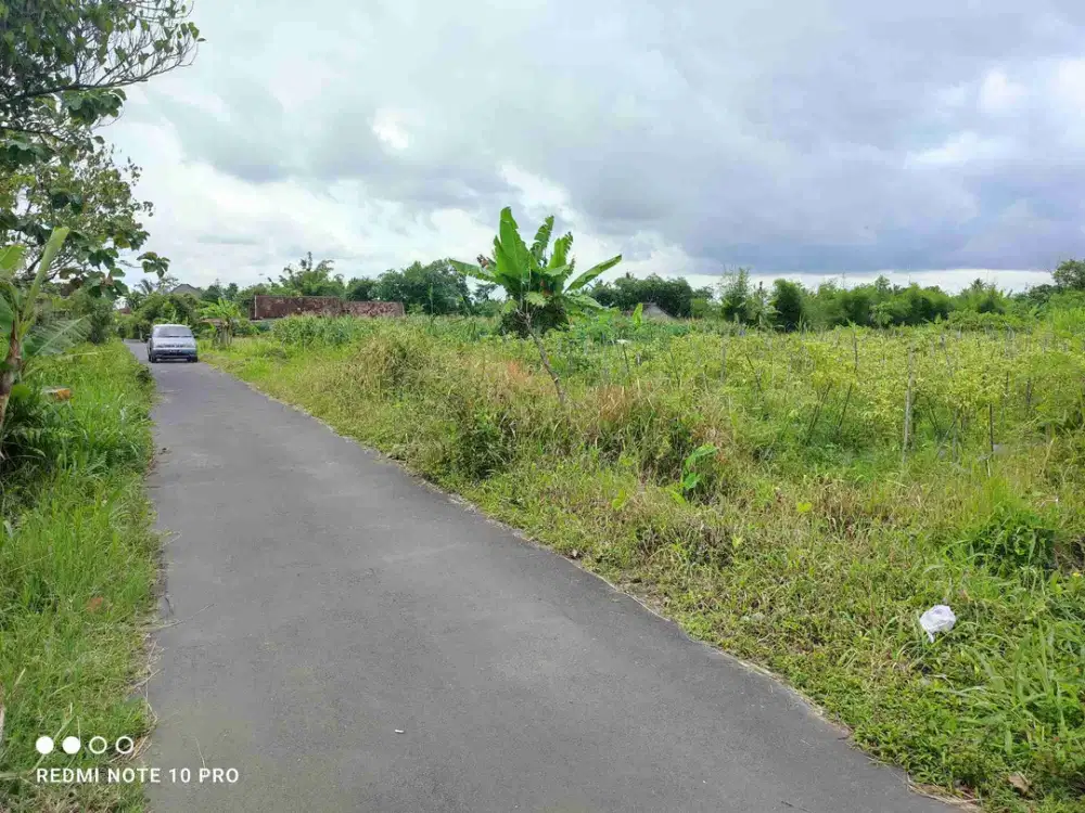 Dijual Sawah Tepi Jalan Aspal Dekat Jalan Raya Palagan Yogyakarta