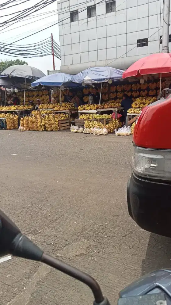 Bismillah mencari pekerjaan halal