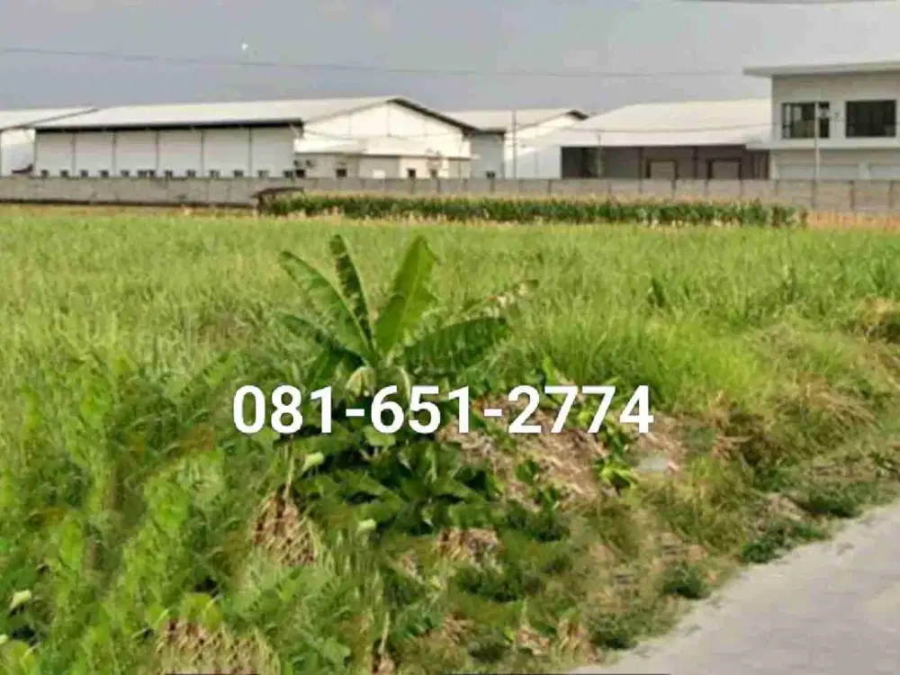 Tanah Industri di Jetis Mojokerto