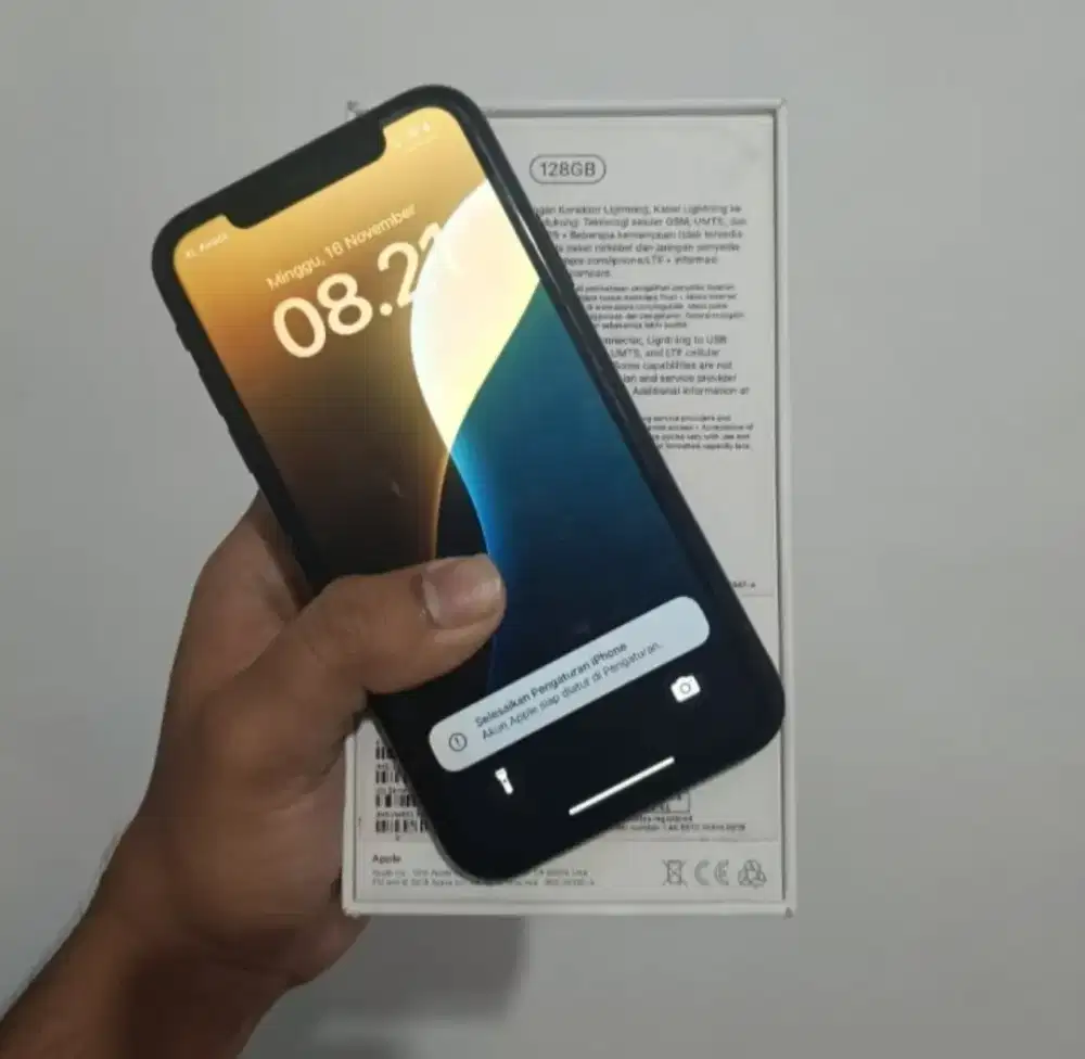 iPhone 12 Pro max 128Gb