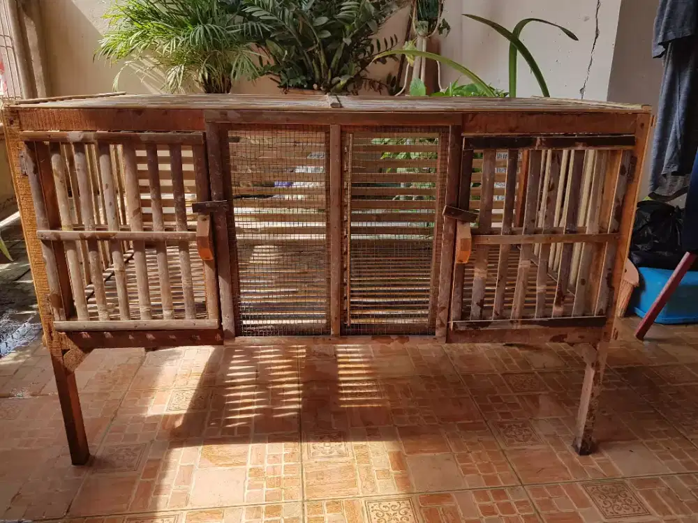 Kandang kucing ukuran 100 x 50