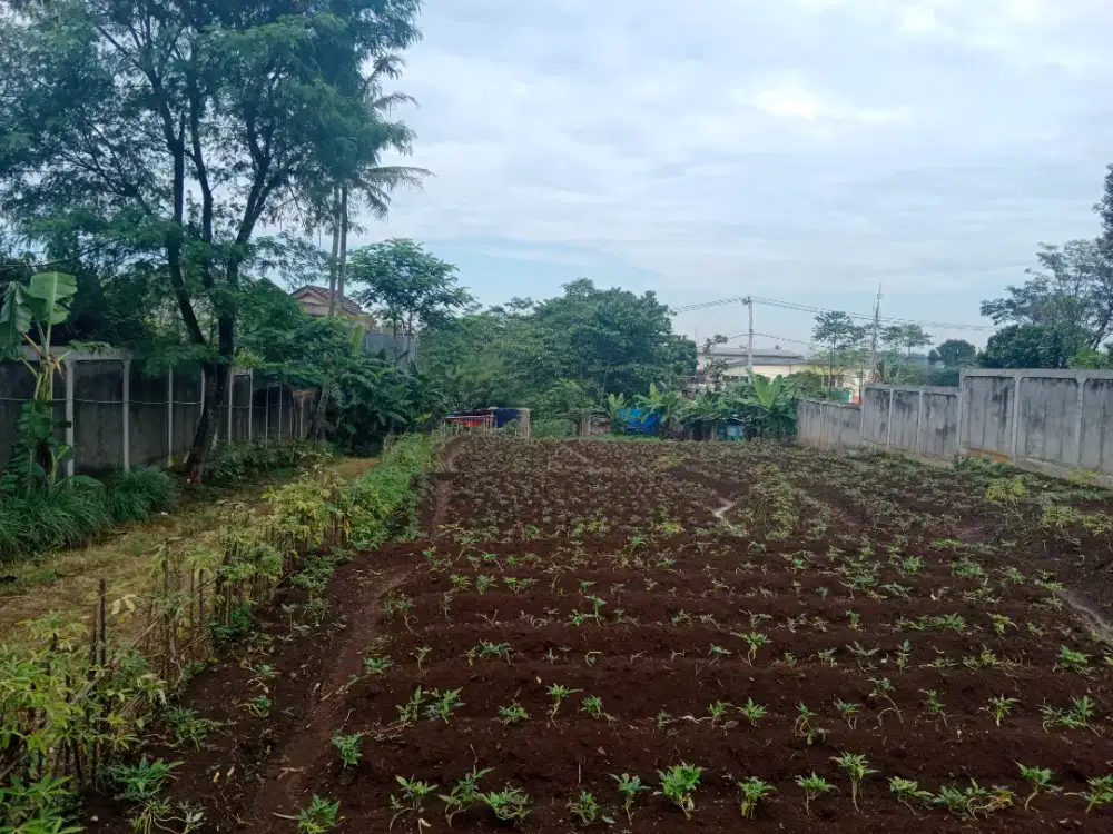 Dijual Tanah Di Jatinangor cocok untuk Kostan