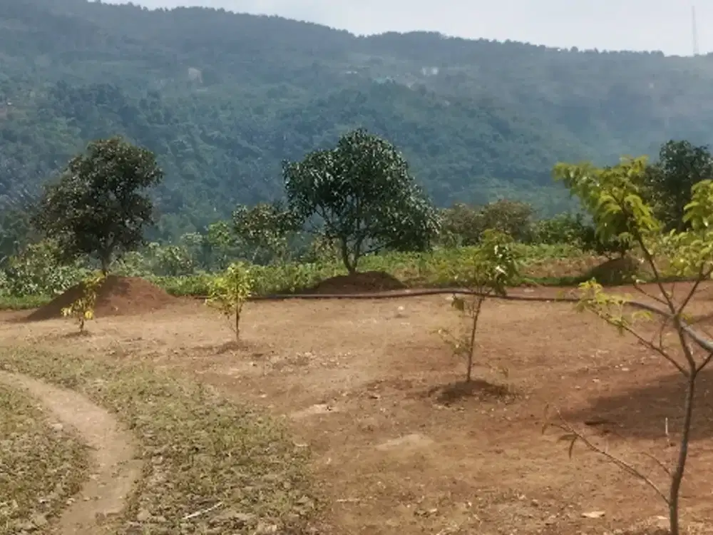 Dijual Lahan Rumah Kebun di kaki Gunung Salak Cijeruk/Cigombong Bogor