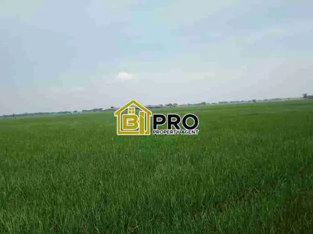 tanah sawah di Karawang Barat