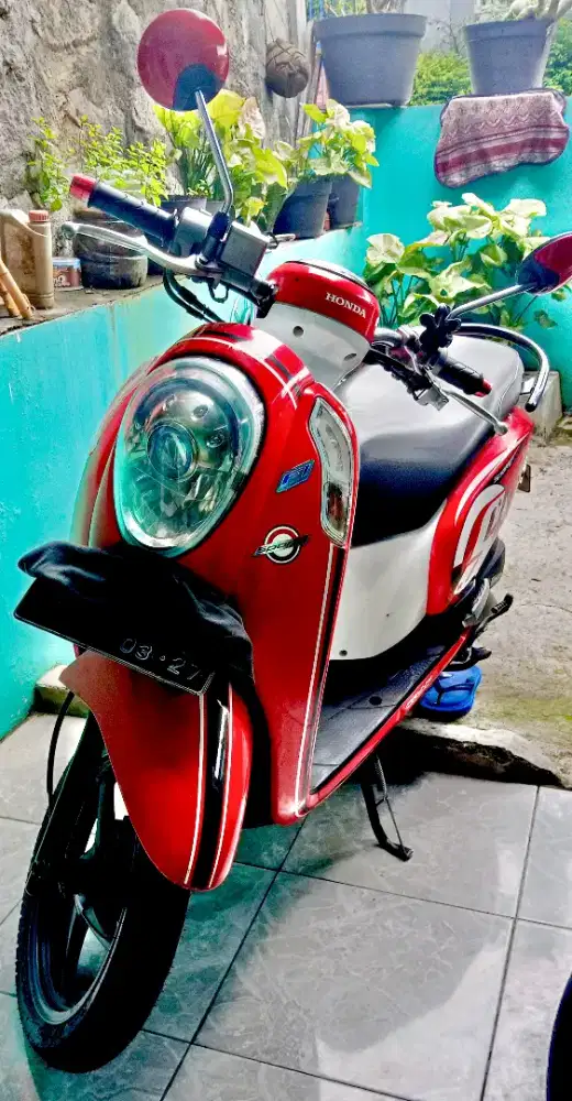 Scoopy plat AD Th 2017