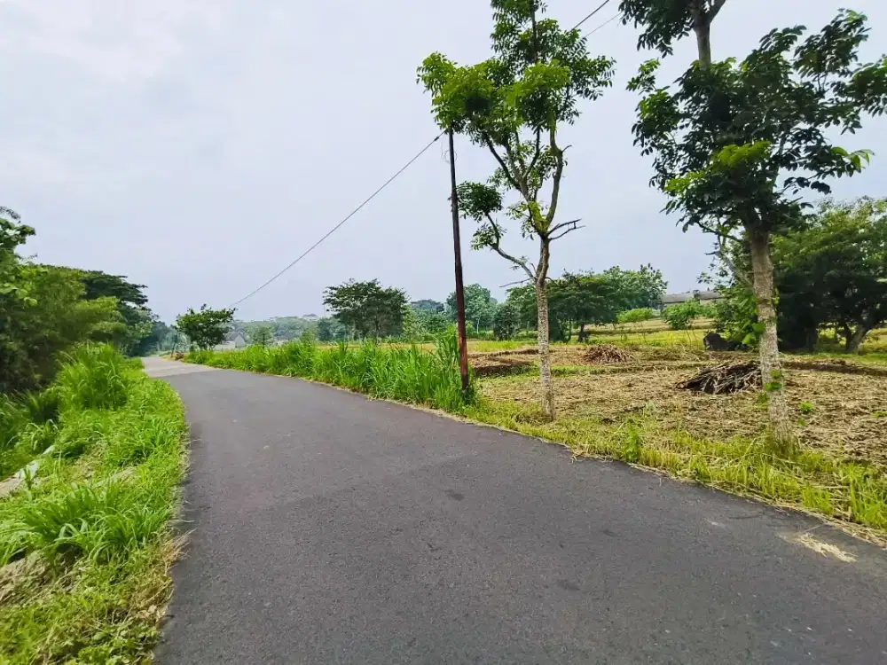 Tanah Murah Prospek Bagus Tepi Jln Utama Mojogedang-Kaliboto
