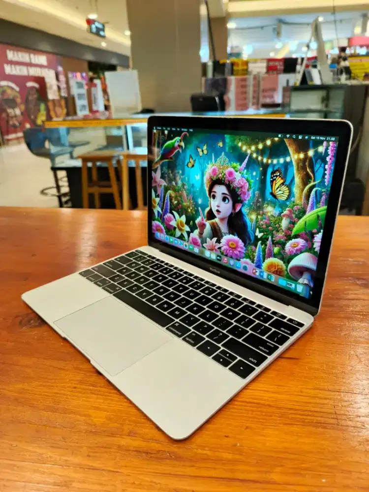 Macbook Retina 12 inch , 2016 ( grey )