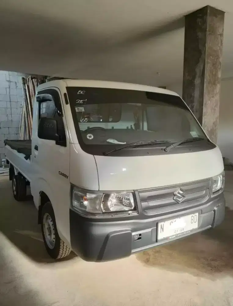 Suzuki carry pick up