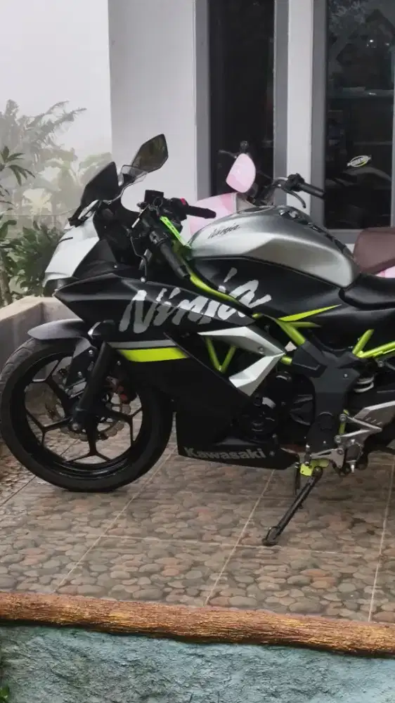 Ninja 250 Mono 2019 Istimewa LOW KM 10rb