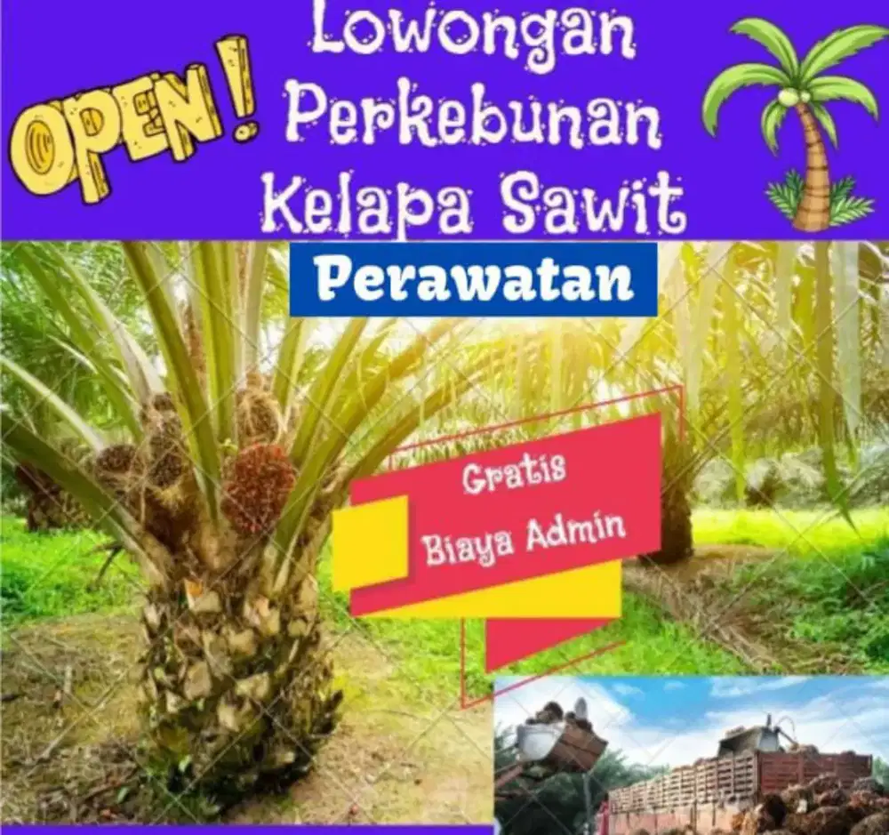 Loker Perawatan Sawit(Garut)